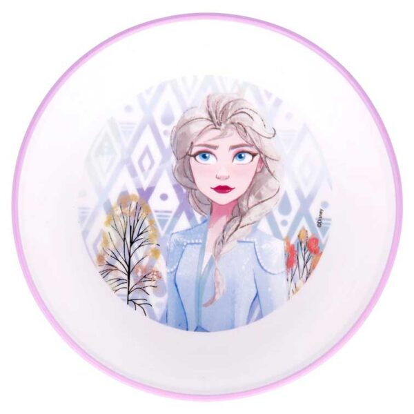 frozen-bowl