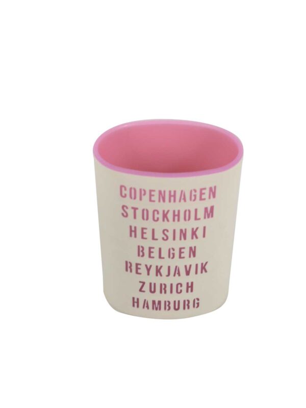 Pink Cities pencil case