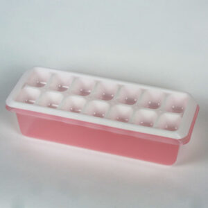 ice-tray-with-storage-box